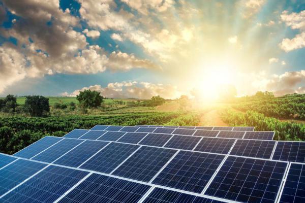 India's Solar Future: Trends, Opportunities, And Challenges